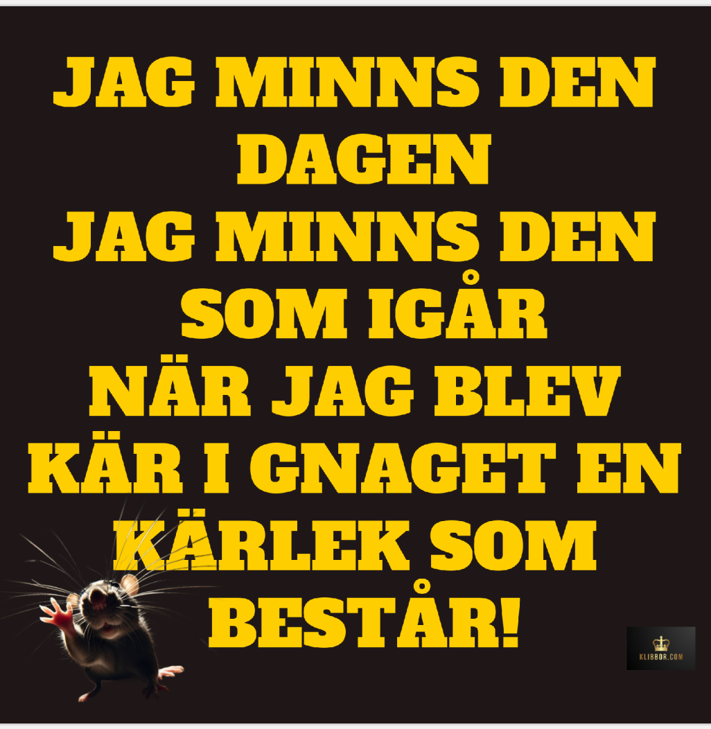 Mellan AIK Mystery Box – AIK klistermärken